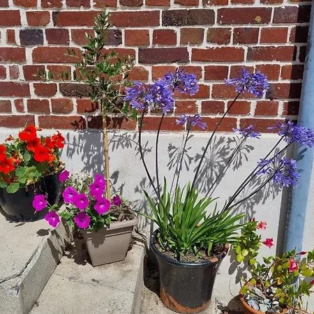 Entier Independant- 2 A 4 Pers - Parking Clos - Terrasse *