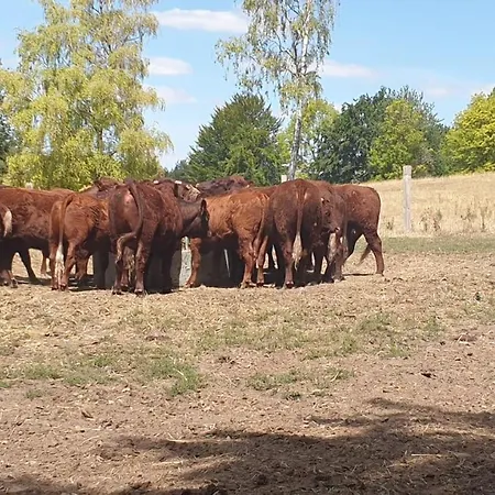 Entier Independant- 2 A 4 Pers - Parking Clos - Terrasse Lejlighed *