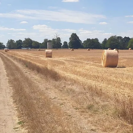 Entier Independant- 2 A 4 Pers - Parking Clos - Terrasse Lejlighed *