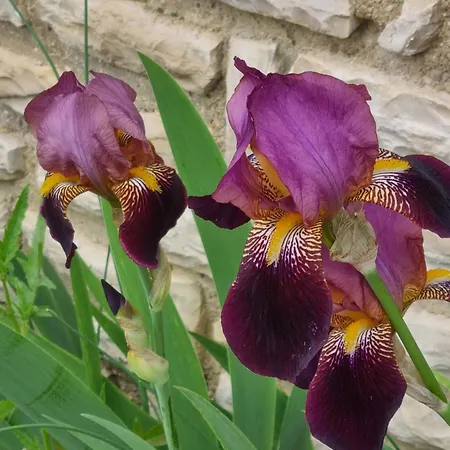 Entier Independant- 2 A 4 Pers - Parking Clos - Terrasse Elincourt-Sainte-Marguerite