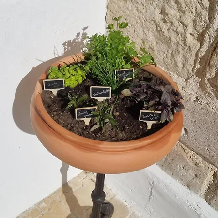 Lejlighed Entier Independant- 2 A 4 Pers - Parking Clos - Terrasse *